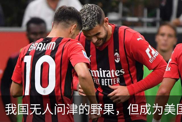 我国无人问津的野果,但成为美国人的心头宝,60元1斤供不应求?