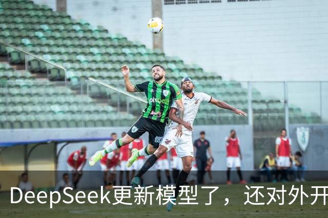 DeepSeek更新模型了，还对外开放了搜索引擎